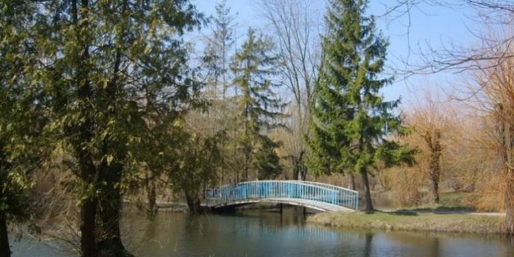 Тернопільське комунальне підприємство сплатить майже 500 тис. грн штрафу за забруднення парку