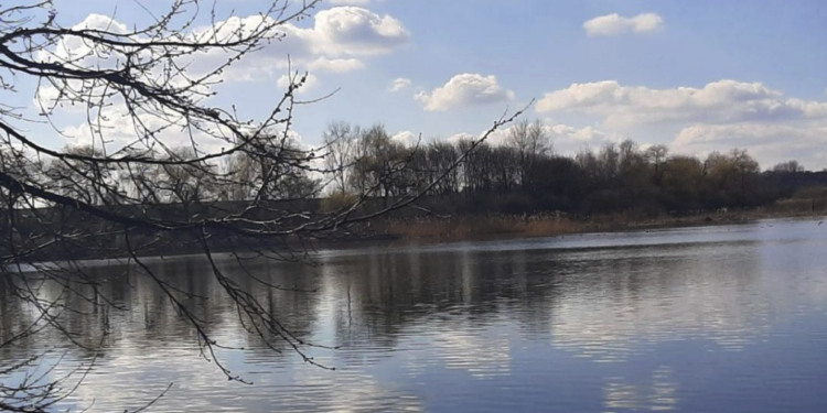 Черз борги спиртзаводу у власність держави повернуто землю, вартістю понад 914 млн грн, на Тернопільщині