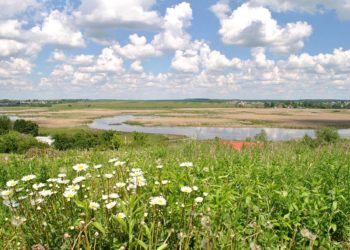 Під Тернополем чоловік самовільно викопав ставок у заказнику