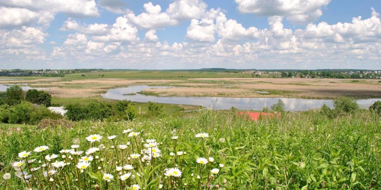 Під Тернополем чоловік самовільно викопав ставок у заказнику