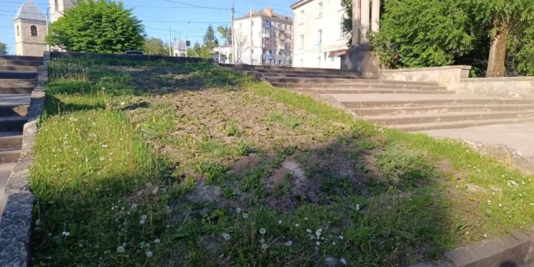 На клумбах у Тернополі замість квітів ростуть бур’яни