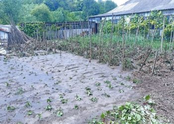 Наслідки зливи у селі на Тернопільщині: пошкоджено 6 дворів та 10 сільськогосподарських угідь