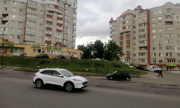 У Тернополі занедбали «патріотичні клумби» із прапорами ЄС та США