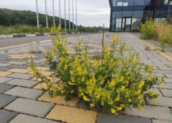 Тернопільська міська рада відповіла на запит щодо утримання “Водної арени”