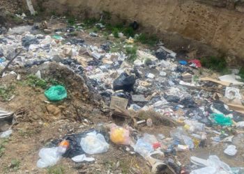 На Тернопільщині виявили ще одні стихійні сміттєзвалища площею понад 6 га