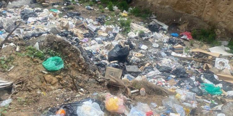 На Тернопільщині виявили ще одні стихійні сміттєзвалища площею понад 6 га