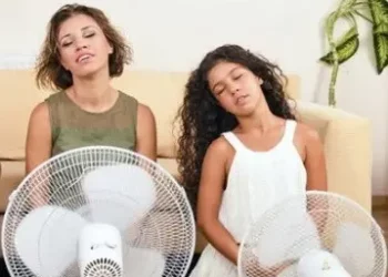 Підлоговий чи настільний: який вибрати вентилятор для дому