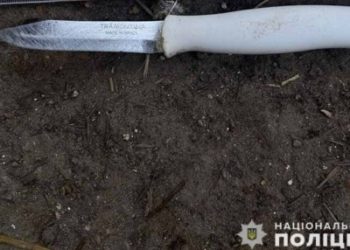На Тернопільщині жінка в стані афекту завдала смертельне поранення чоловіку