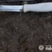 На Тернопільщині жінка в стані афекту завдала смертельне поранення чоловіку