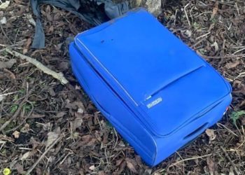 Суд виніс вирок чоловікові, який залишив тіло матері у валізі в тернопільському парку