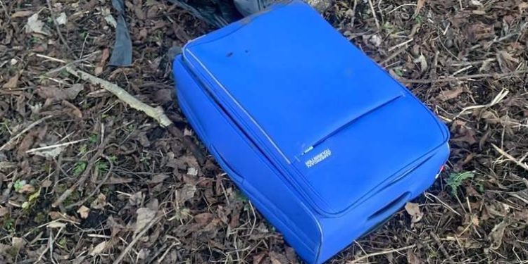 Суд виніс вирок чоловікові, який залишив тіло матері у валізі в тернопільському парку