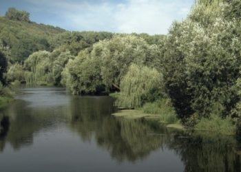 На Тернопільщині у річці Серет виявили тіло жінки