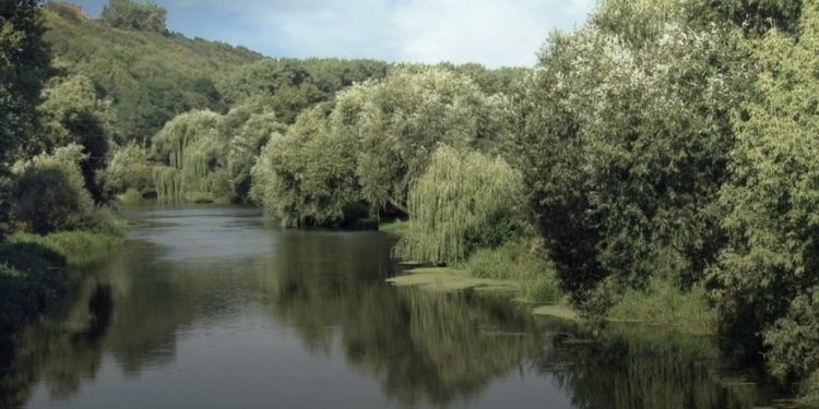 На Тернопільщині у річці Серет виявили тіло жінки