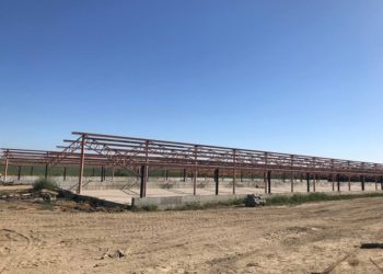 У селі на Тернопільщині люди виступають проти будівництва свинарників