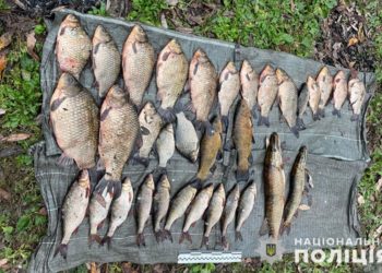 На Тернопільщині чоловік наловив риби в заказнику на 110 тисяч гривень