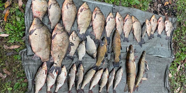 На Тернопільщині чоловік наловив риби в заказнику на 110 тисяч гривень