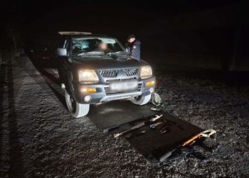 На Тернопільщині колишній поліцейський, якого підозрюють у вбивстві людини, застрелив 2 кабанів