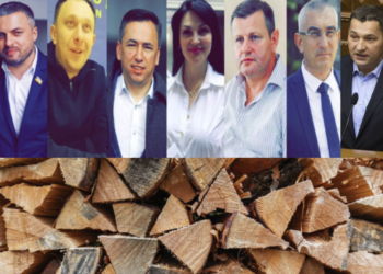 Народні депутати з Тернопільщини голосували за покарання за дрова