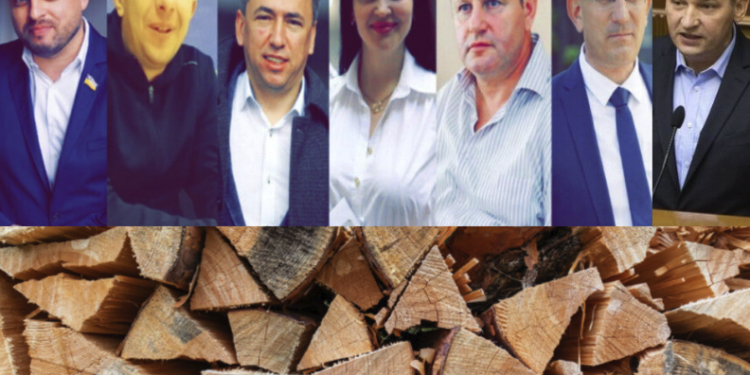 Народні депутати з Тернопільщини голосували за покарання за дрова