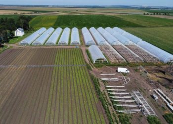 Фермер із Херсонщини релокував бізнес на Тернопільщину і збудував 40 теплиць