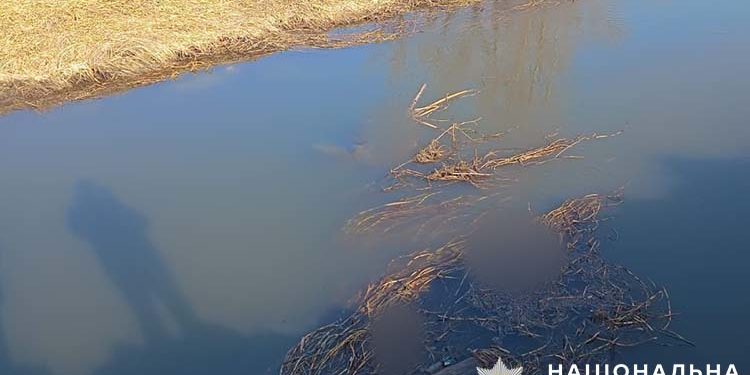 У річці на Бережанщині виявили тіло чоловіка