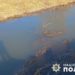 У річці на Бережанщині виявили тіло чоловіка