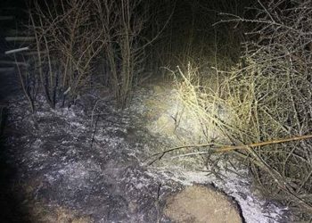 На Тернопільщині під час спалювання трави живцем згоріла 66-річна жінка