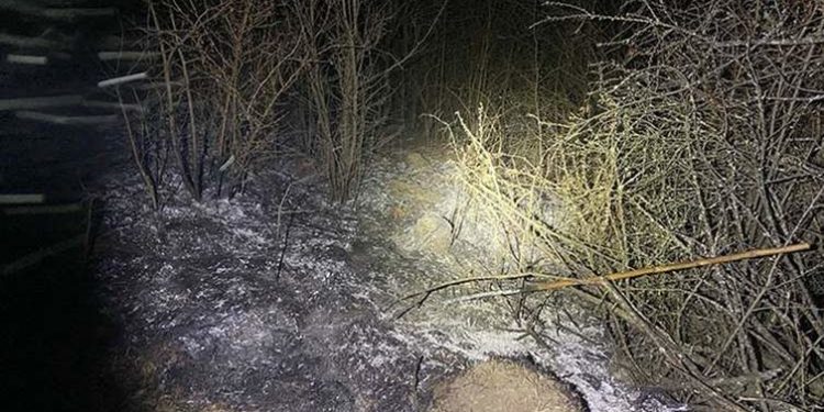 На Тернопільщині під час спалювання трави живцем згоріла 66-річна жінка