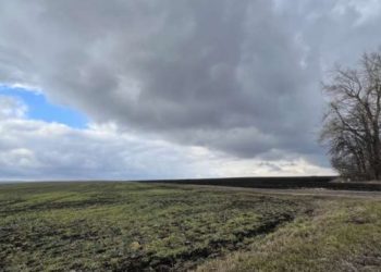 На Тернопільщині через суд добиваються повернення земельної ділянки, яка належить громадянці рф