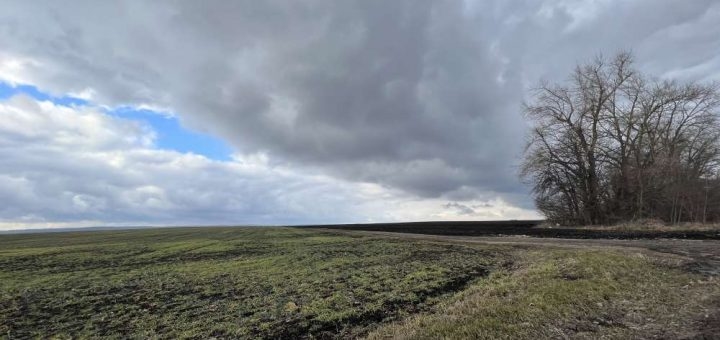 На Тернопільщині через суд добиваються повернення земельної ділянки, яка належить громадянці рф