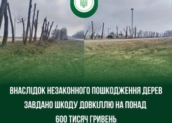 Пошкодження сягають понад пів мільйона гривень: незаконна обрізка дерев біля дороги на Тернопільщині