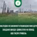 Пошкодження сягають понад пів мільйона гривень: незаконна обрізка дерев біля дороги на Тернопільщині