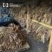 На Тернопільщині викрили незаконну тютюнову фабрику: БЕБ вилучило сировину та зафіксувало переробку