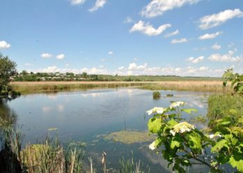 У Тернополі незаконно оформили власність на два гектари землі заказника