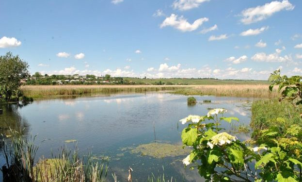 У Тернополі незаконно оформили власність на два гектари землі заказника
