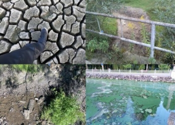 Водна криза Тернопільщини: коли київські міністерства ігнорують критичний рівень падіння місцевих річок