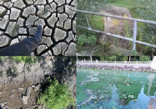 Водна криза Тернопільщини: коли київські міністерства ігнорують критичний рівень падіння місцевих річок