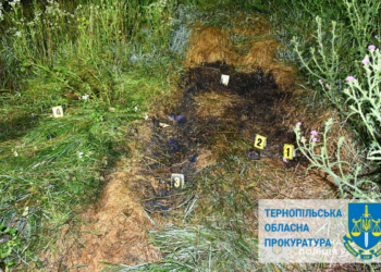 Пiдозрювану  у замаху на вбивство  триматимуть пiд вартою