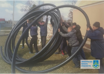 Голову Білецької громади Дмитра Малика та підрядника засудили за махінації з водогоном у селі Плотича