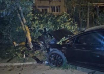 П’яний водій Tesla в’їхав у дерево та спробував сховатись від патрульних