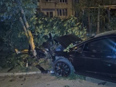 П’яний водій Tesla в’їхав у дерево та спробував сховатись від патрульних