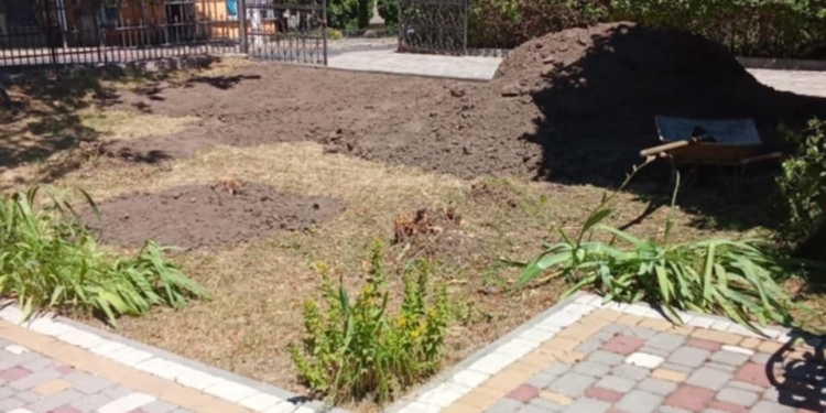 Скандал у Чорткові: біля мистецької школи вирубали калинові насадження