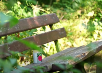 Жительку Тернопільщини та її півторарічну доньку жорстоко убили в Німеччині