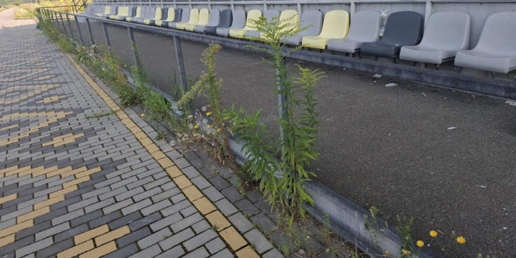 “Водна Арена Тернопіль” перетворилася на занедбаний об’єкт