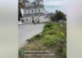 Оновлений догляд по-тернопільськи: зламані двометрові ясени на клумбі навпроти Катедри