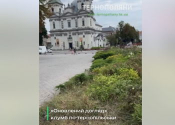 Оновлений догляд по-тернопільськи: зламані двометрові ясени на клумбі навпроти Катедри