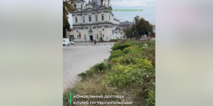 Оновлений догляд по-тернопільськи: зламані двометрові ясени на клумбі навпроти Катедри