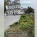 Оновлений догляд по-тернопільськи: зламані двометрові ясени на клумбі навпроти Катедри