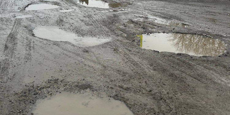 У Чорткові зупинка на вул. Золотарка потопає в болоті: жителі скаржаться на 30 років без ремонту