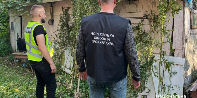 Під час спецоперації  на Тернопільщині викрили 11 осіб, яких підозрюють у незаконному збуті наркотиків на 1 млн грн